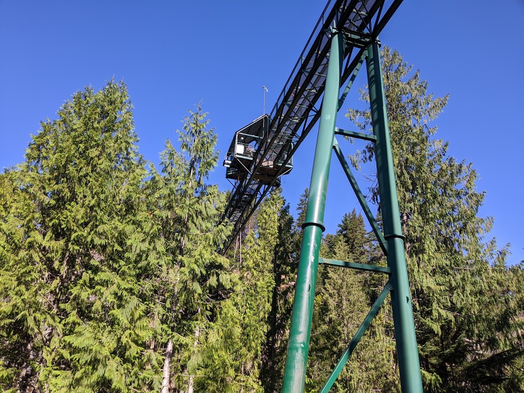 Whistler Bungee Bridge | Calcheak Forest Service Rd, Whistler, BC V0N 1B1, Canada | Phone: (877) 938-9333