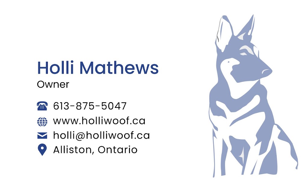 Holliwoof | 79 Anderson Rd, Alliston, ON L9R 0B2, Canada | Phone: (613) 875-5047