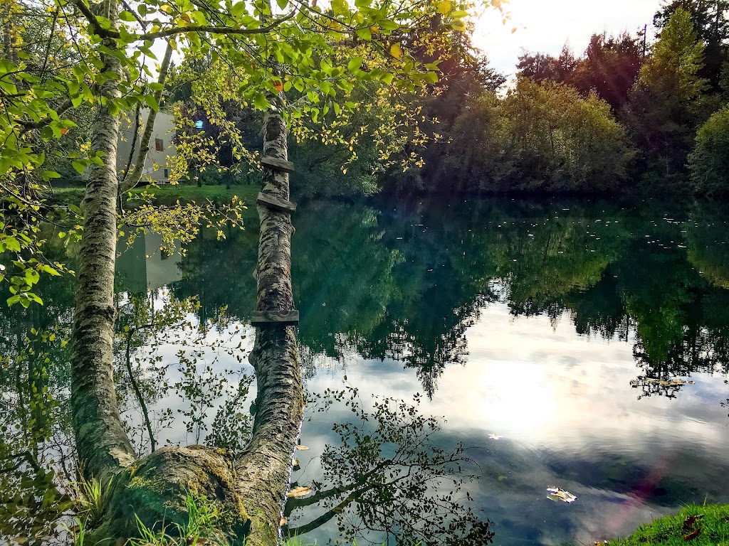 Nanaimo River Salmonid Enhancement Project | 2775 Rugby Rd, Nanaimo, BC V9X 1T2, Canada | Phone: (250) 245-7780