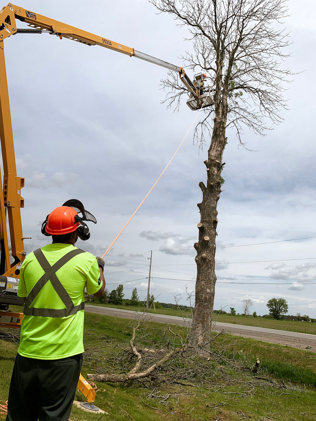 VS Tree Services | 4886 Bank St, Gloucester, ON K1X 1G7, Canada | Phone: (613) 774-5296