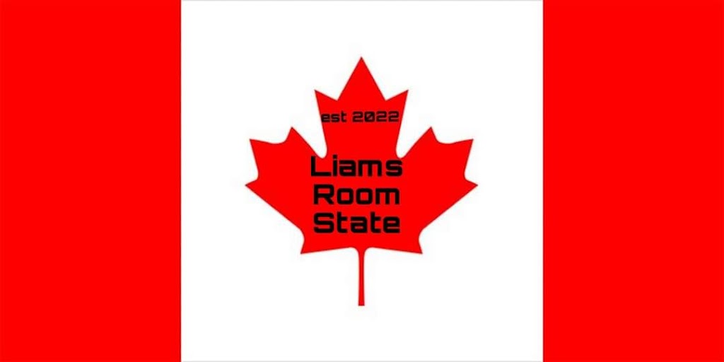 Liam Room State | 73 Tweedsmuir Ave, London, ON N5W 1K8, Canada | Phone: (226) 499-3263