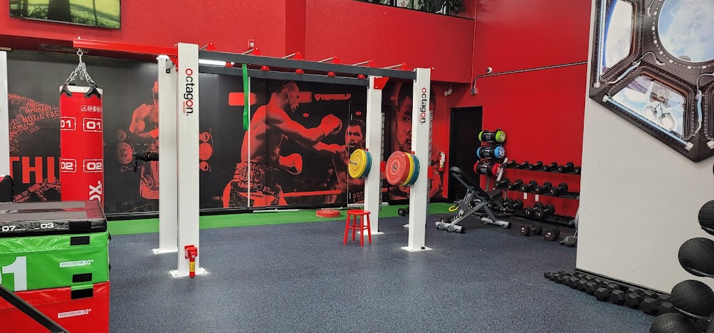 Red Owl Boxing | 952 Century Dr, Burlington, ON L7L 5P2, Canada | Phone: (877) 678-0367