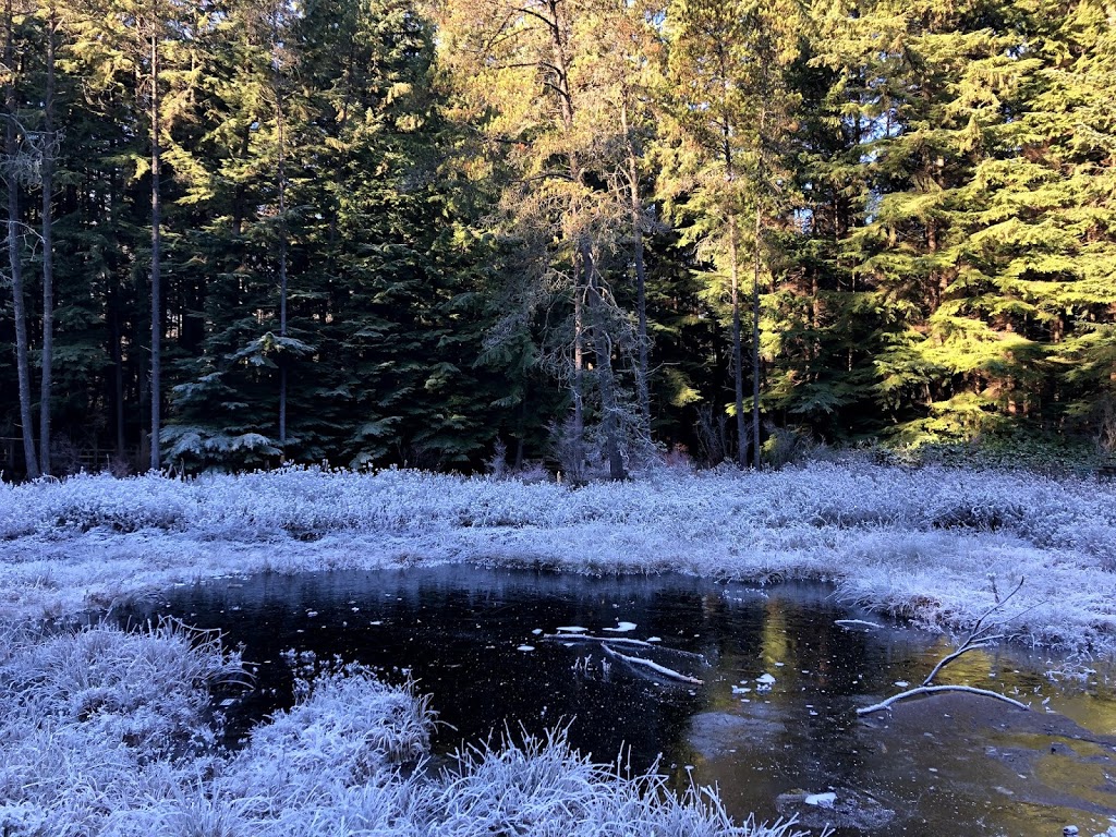 Camosun Bog | Imperial Dr, Vancouver, BC V6S, Canada