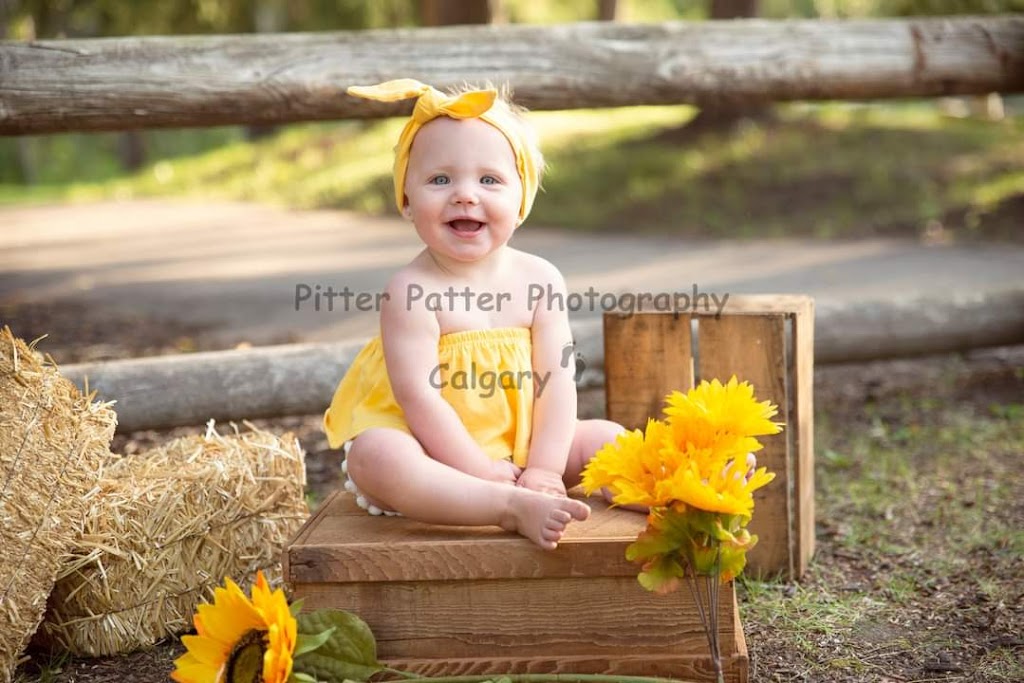 Pitter Patter Photography Calgary | #3107, Calgary, AB T2W 2X6, Canada | Phone: (403) 826-0294