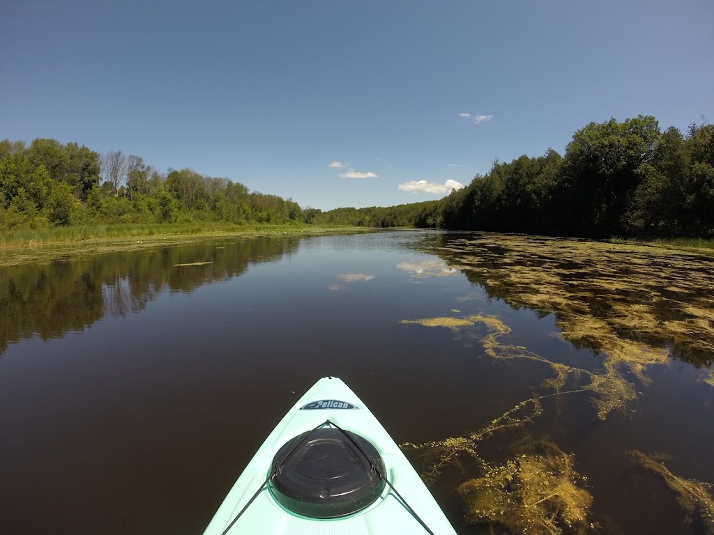 Riverview Kayaking | 59 Robinglade Ave, Seagrave, ON L0C 1G0, Canada | Phone: (905) 435-3814