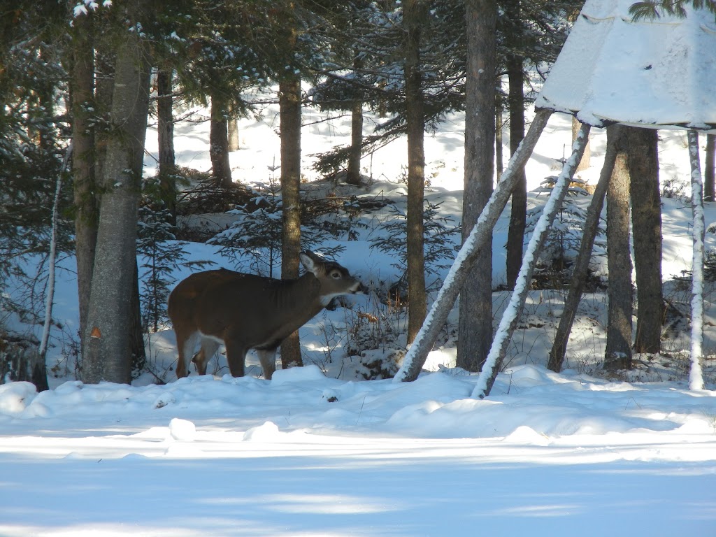 Le Domaine Notcimik | 418 Rang Sud-Est, La Bostonnais, QC G9X 0A7, Canada | Phone: (819) 523-8003