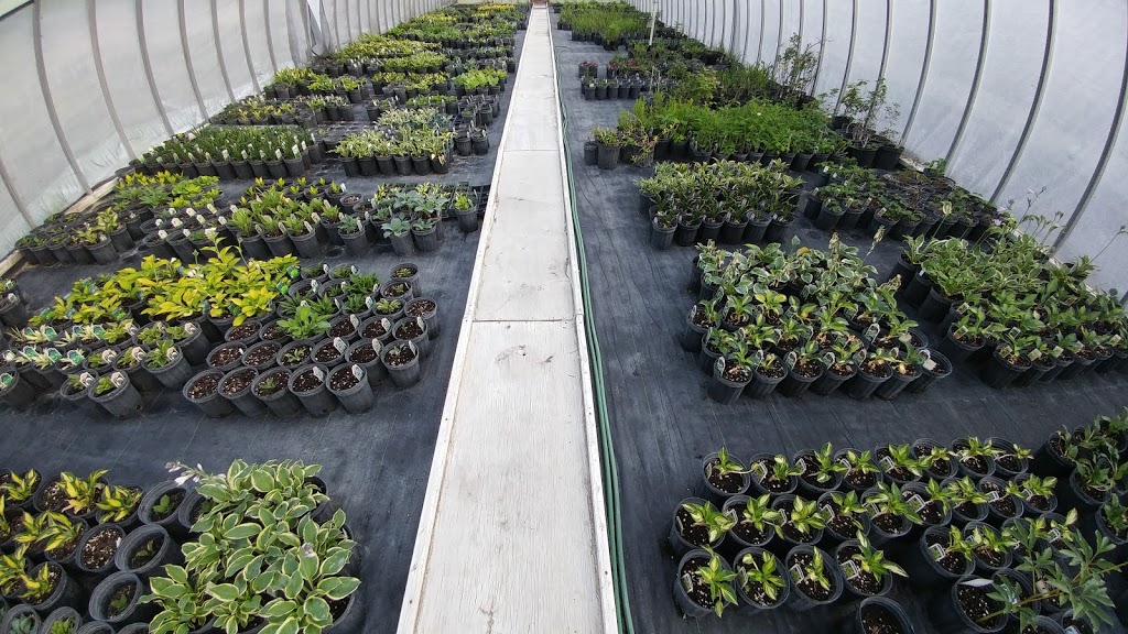 Stoneridge Gardens & Nursery | 1851 Galbraith Rd, Clayton, ON K0A 1P0, Canada | Phone: (613) 256-4348