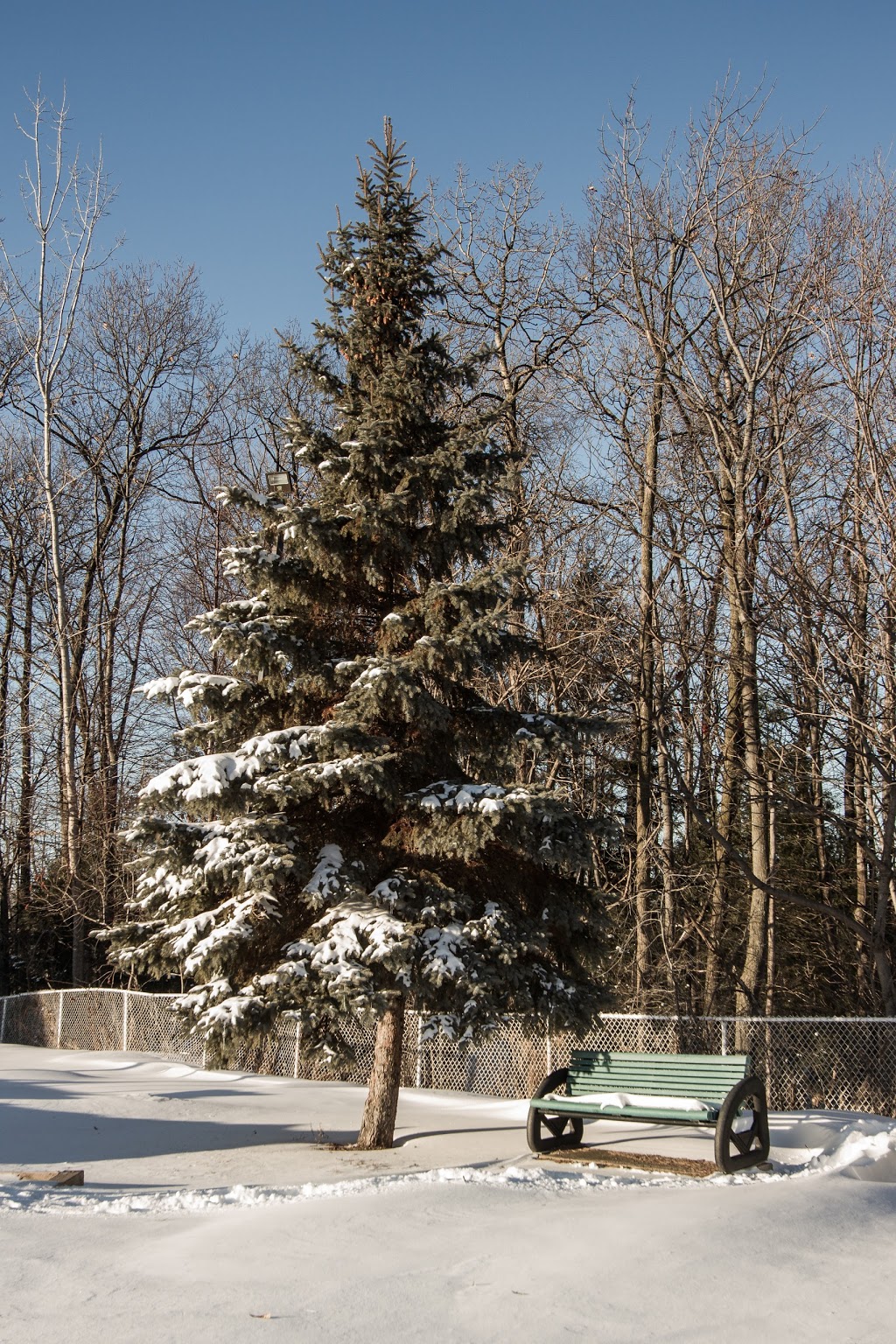 Ville de LÎle-Perrot - Parc Lucien-Manning | Coin Lucien-Manning et Rue René-Émard, LÎle-Perrot, QC J7V 8V6, Canada | Phone: (514) 453-1751