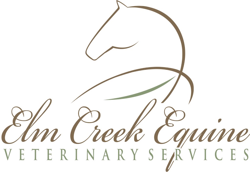 Elm Creek Equine Veterinary Services | Rd 29 W, Elm Creek, MB R0G 0N0, Canada | Phone: (204) 436-2330