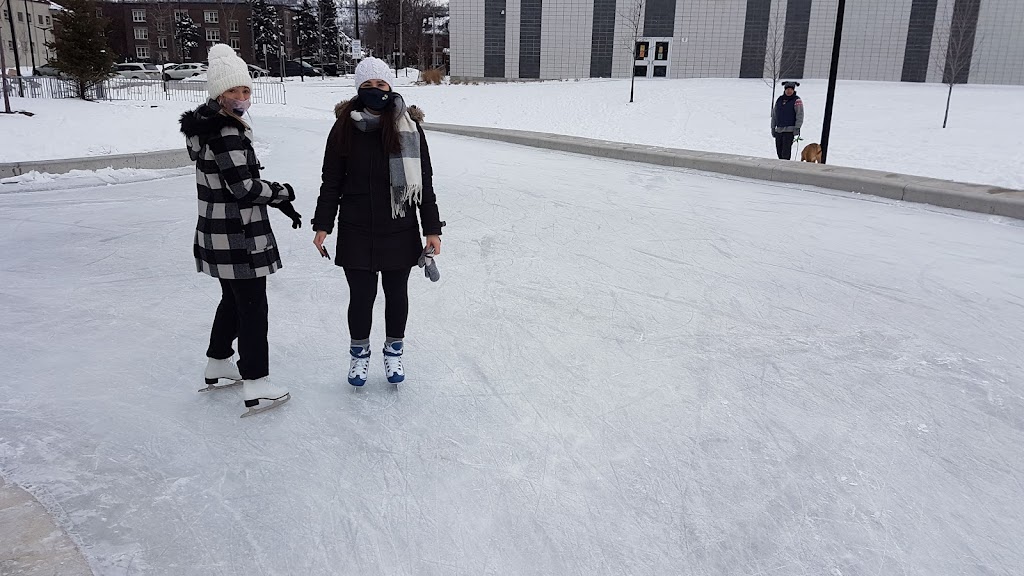 Serafini Family Ice Pad (at Bernie Morelli Recreation Centre) | 876 Cannon St E, Hamilton, ON L8L 0C6, Canada | Phone: (905) 546-3747