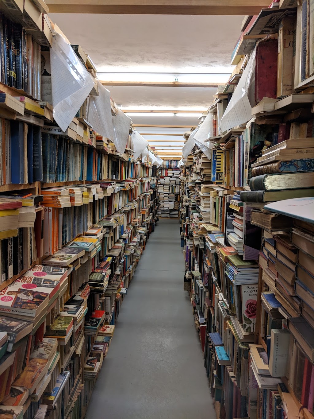 Amys Used Books | 51 S Albion St, Amherst, NS B4H 2W4, Canada | Phone: (902) 667-7927