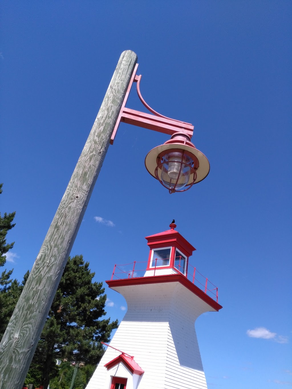 Miramichi River Boat Tours | 84 Nortons Ln, Miramichi, NB E1V 2G2, Canada | Phone: (506) 623-9821