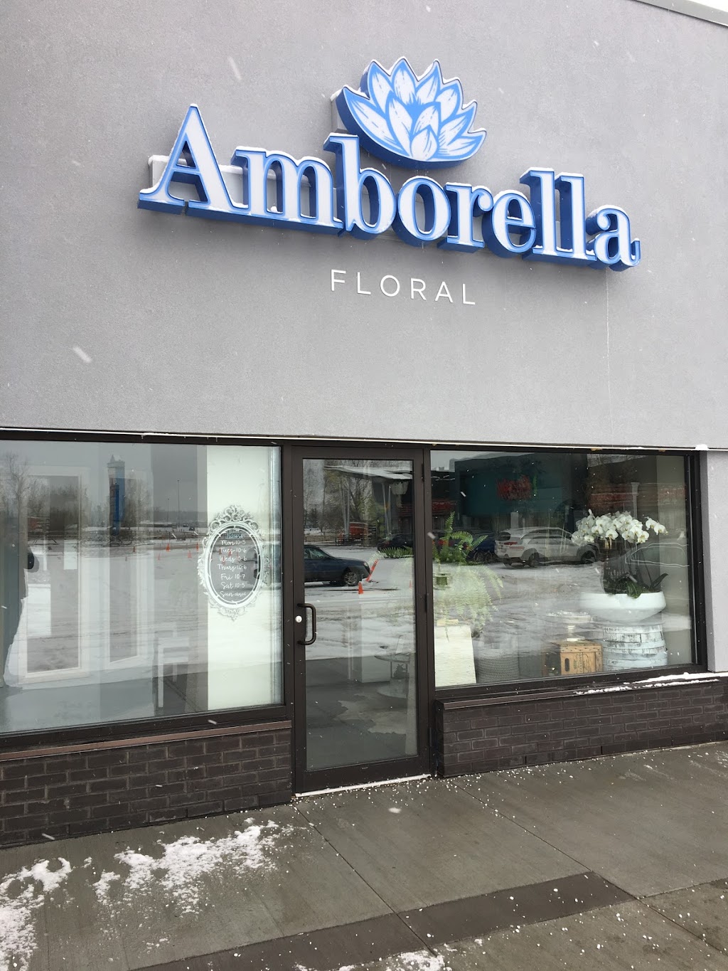 Amborella Floral | 2515 90 Ave SW, Calgary, AB T2V 0L8, Canada | Phone: (403) 386-0330