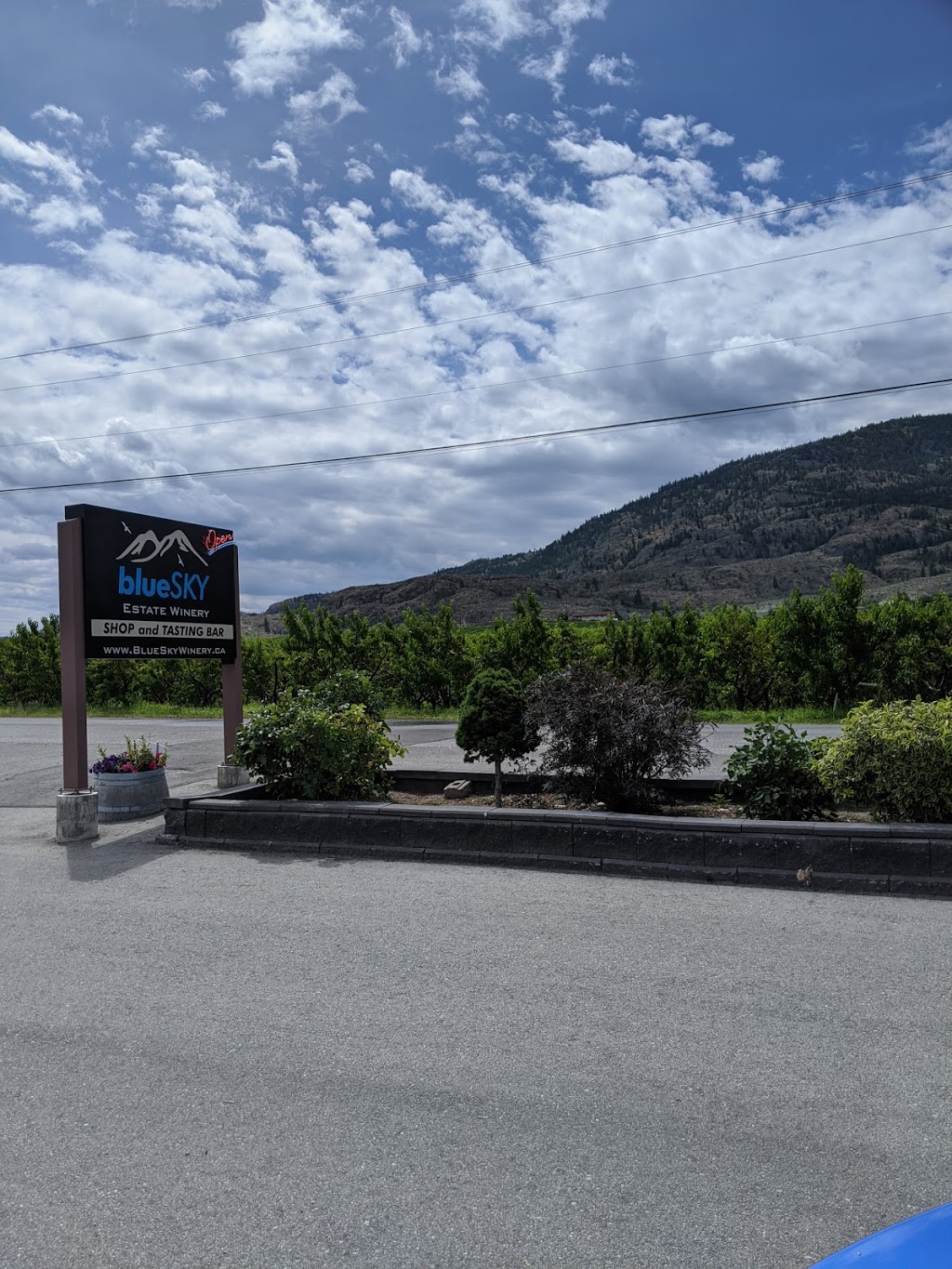 Blue Sky Estate Winery | 11621 87 St, Osoyoos, BC V0H 1V1, Canada | Phone: (250) 495-1777