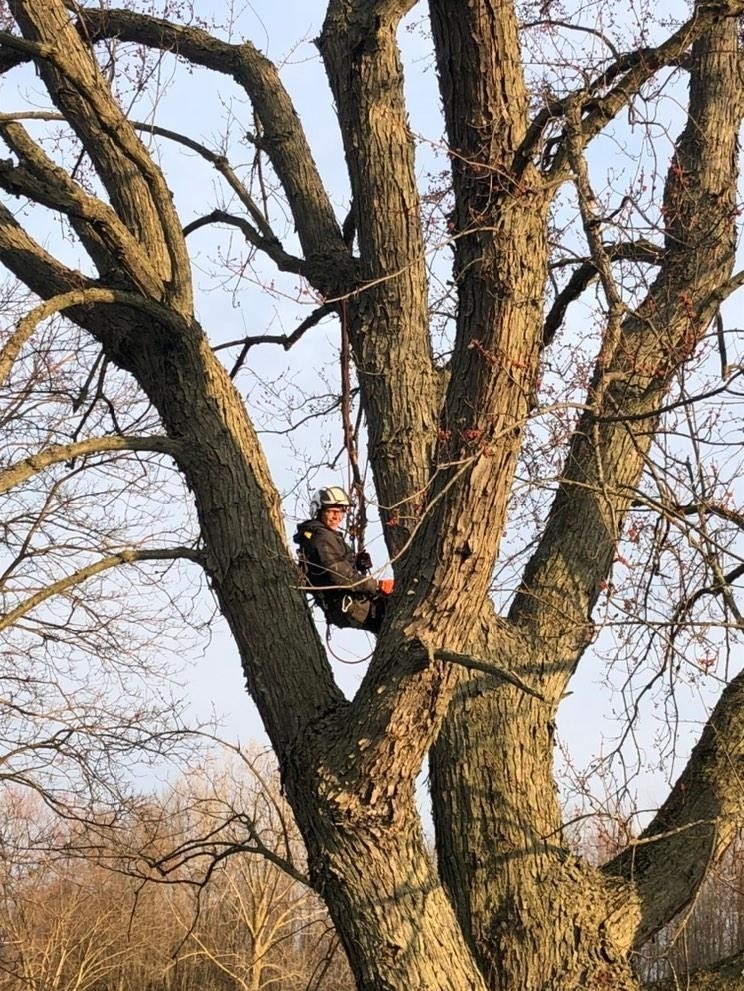 RTE Stump Grinding and Tree Service South | 1237 Concession 5 W, Waterdown, ON L0R 2H2, Canada | Phone: (905) 699-5029