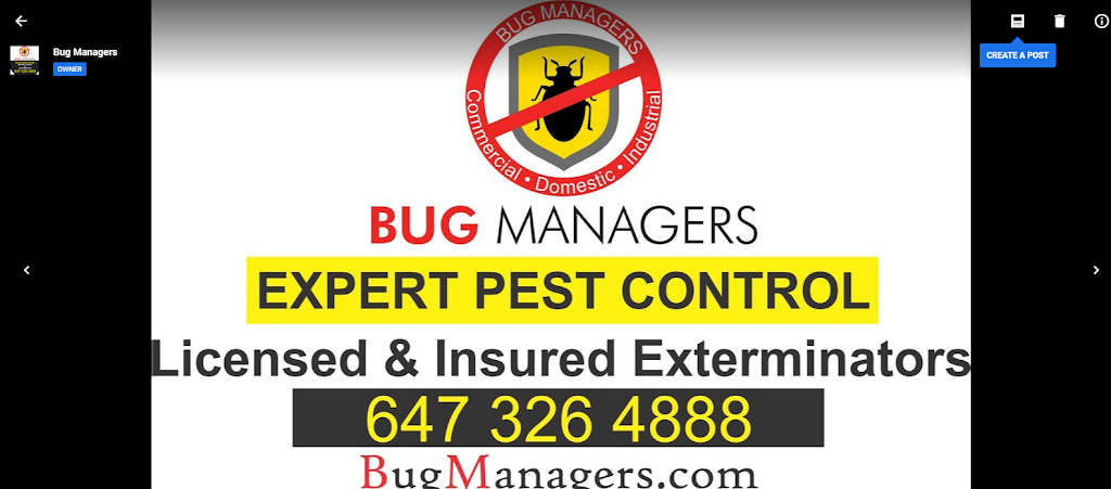 Bug Managers | 8 Oaklea Blvd, Brampton, ON L6Y 4G7, Canada | Phone: (647) 764-2353