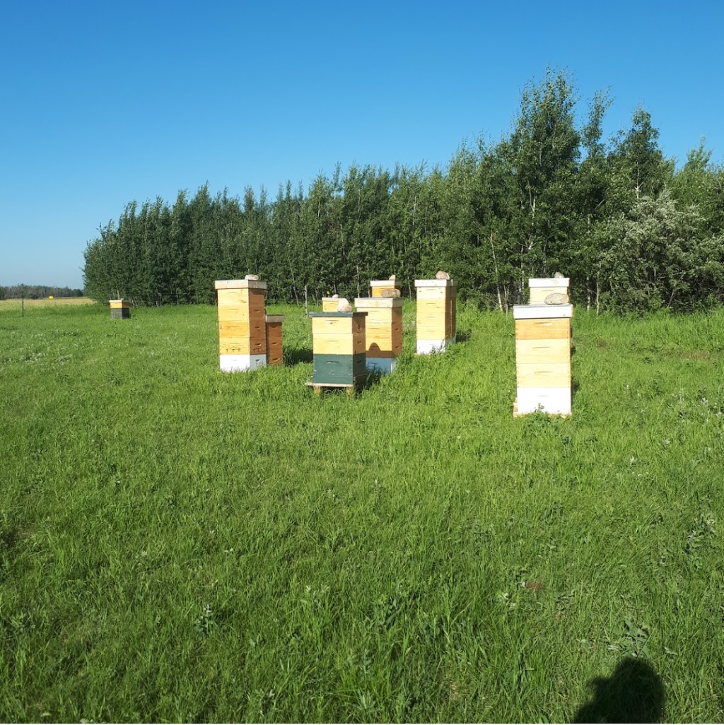 Beaver Creek Apiaries ltd. | Unnamed Road, Beaver County, AB T0B 4A0, Canada | Phone: (780) 722-4232