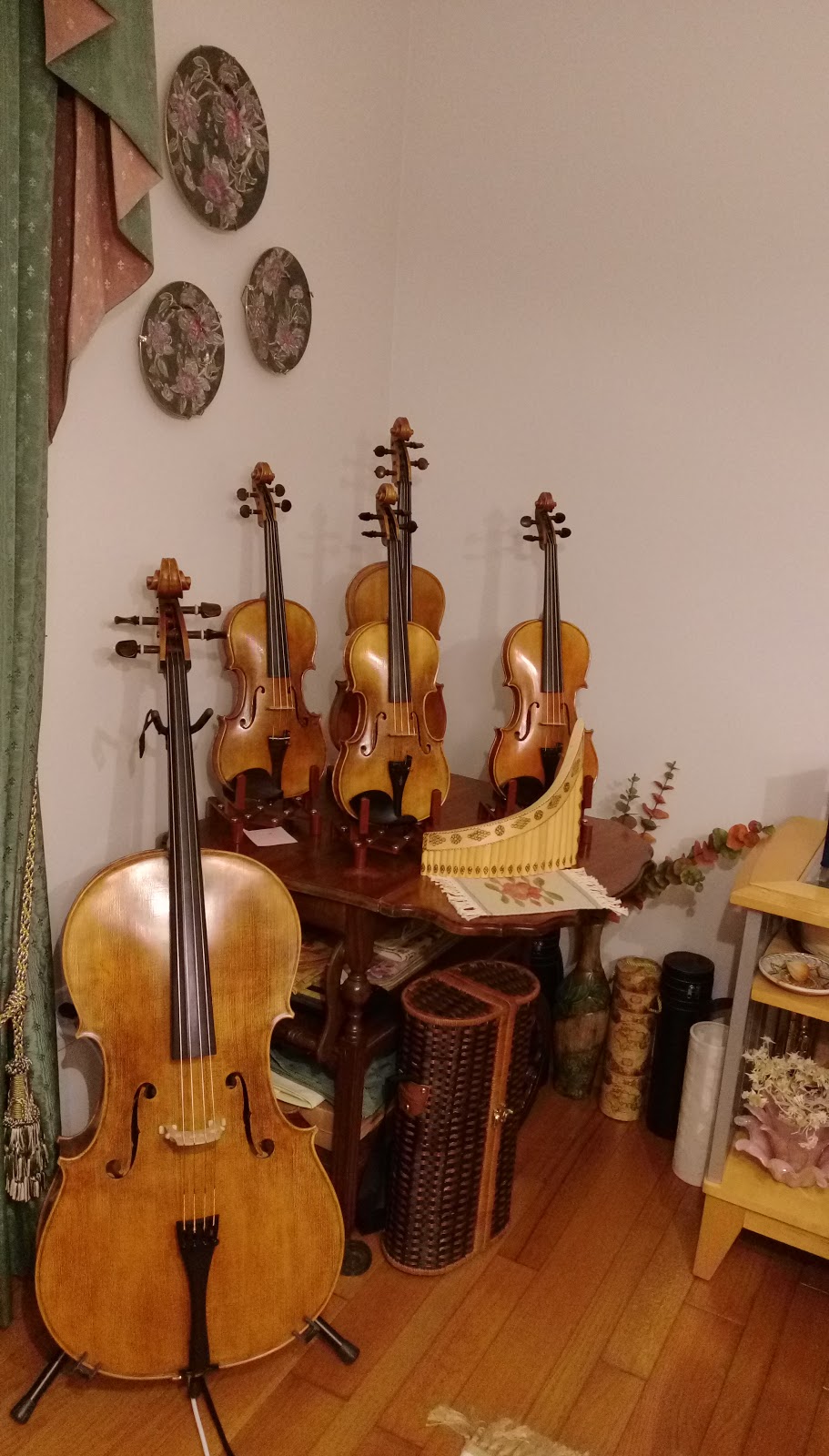 FLOCELLO EUROPEAN STRING INSTRUMENTS MUSIC STUDIO | 19 Susan Dr, Hamilton, ON L9C 7R1, Canada | Phone: (647) 237-5945