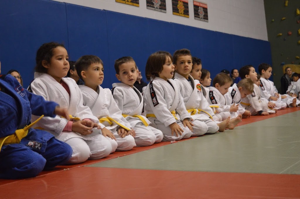 Club de Judo Olympique | 3875 Grande Allée, Saint-Hubert, QC J4T 2V8, Canada | Phone: (450) 466-7222