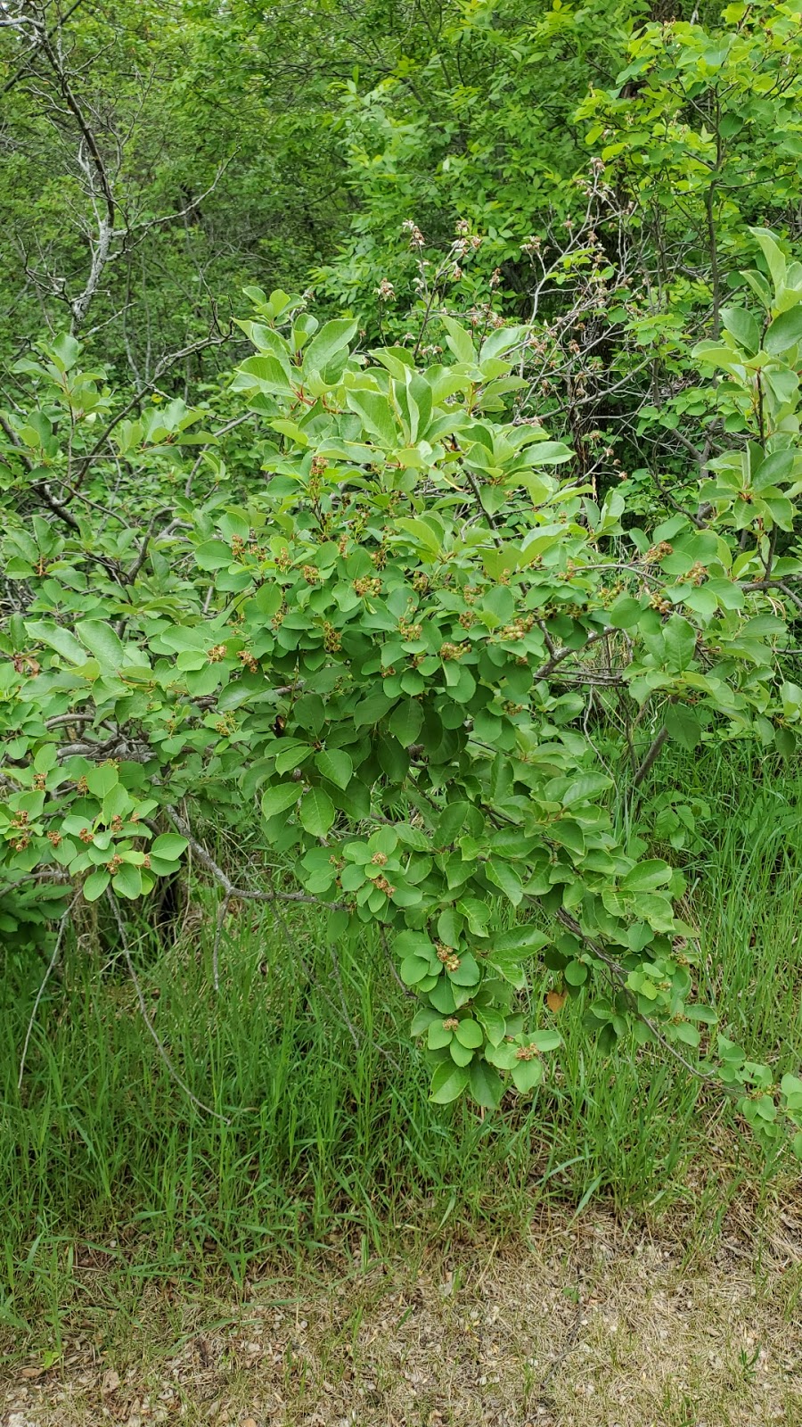 Echo Valley Provincial Park | Fort QuAppelle, SK S0G 1S0, Canada