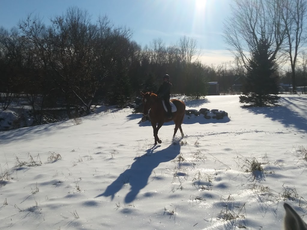 Ferme Willowbrook Farm (École déquitation classique) | 9125 Rue St Vincent, Mirabel, QC J7N 2V5, Canada | Phone: (514) 606-3327