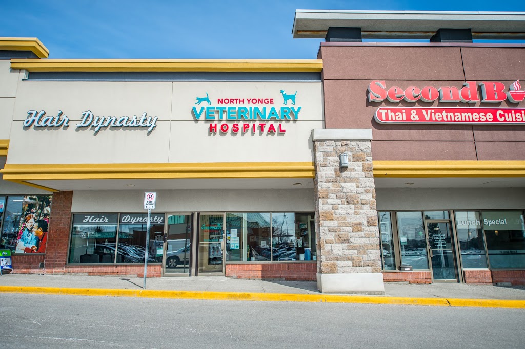 North Yonge Veterinary Hospital | 17725 Yonge St #18, Newmarket, ON L3Y 7C1, Canada | Phone: (905) 830-0437