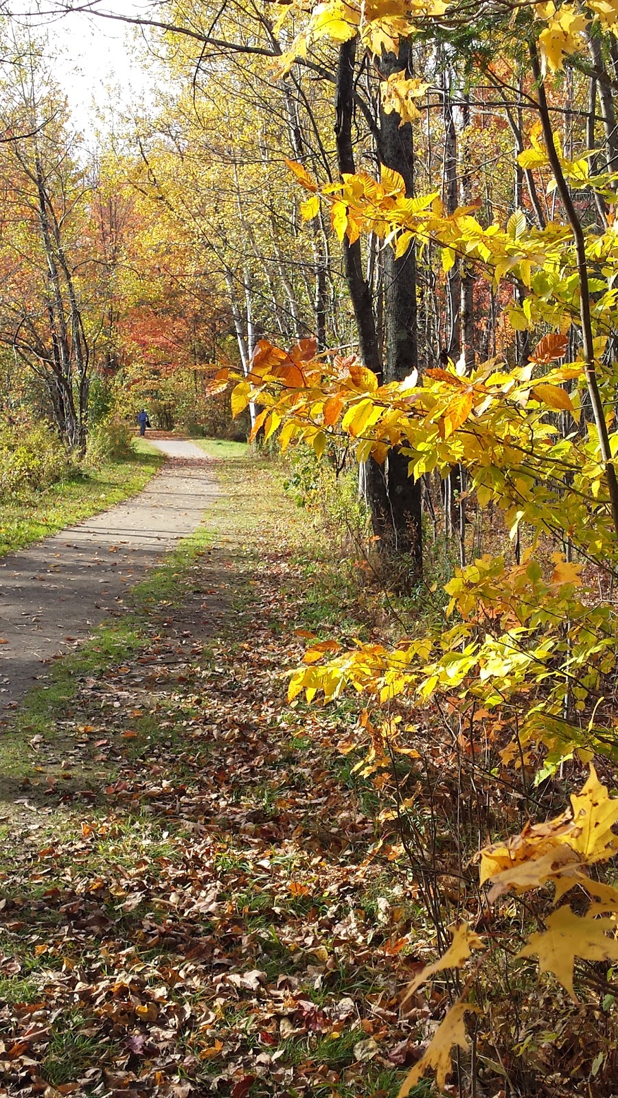 Sentier Coldbrook | Rue Crandall, Knowlton, QC J0E 1V0, Canada