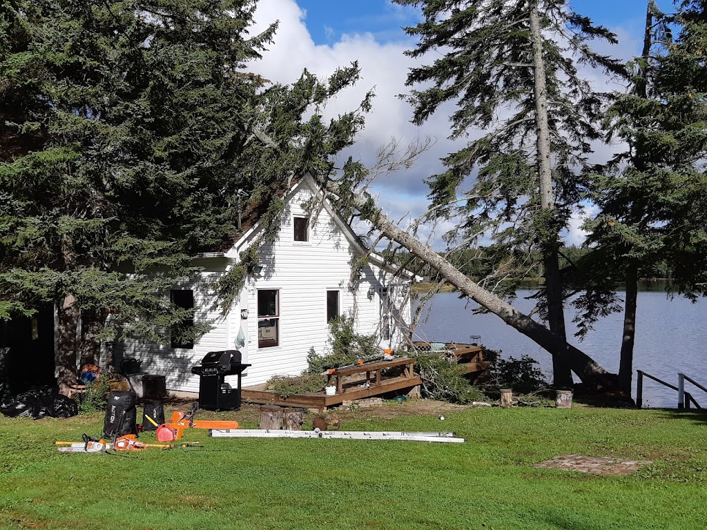 No Limits Tree Experts Inc. | 1359 NB-114, Lower Coverdale, NB E1J 1C5, Canada | Phone: (506) 609-8733