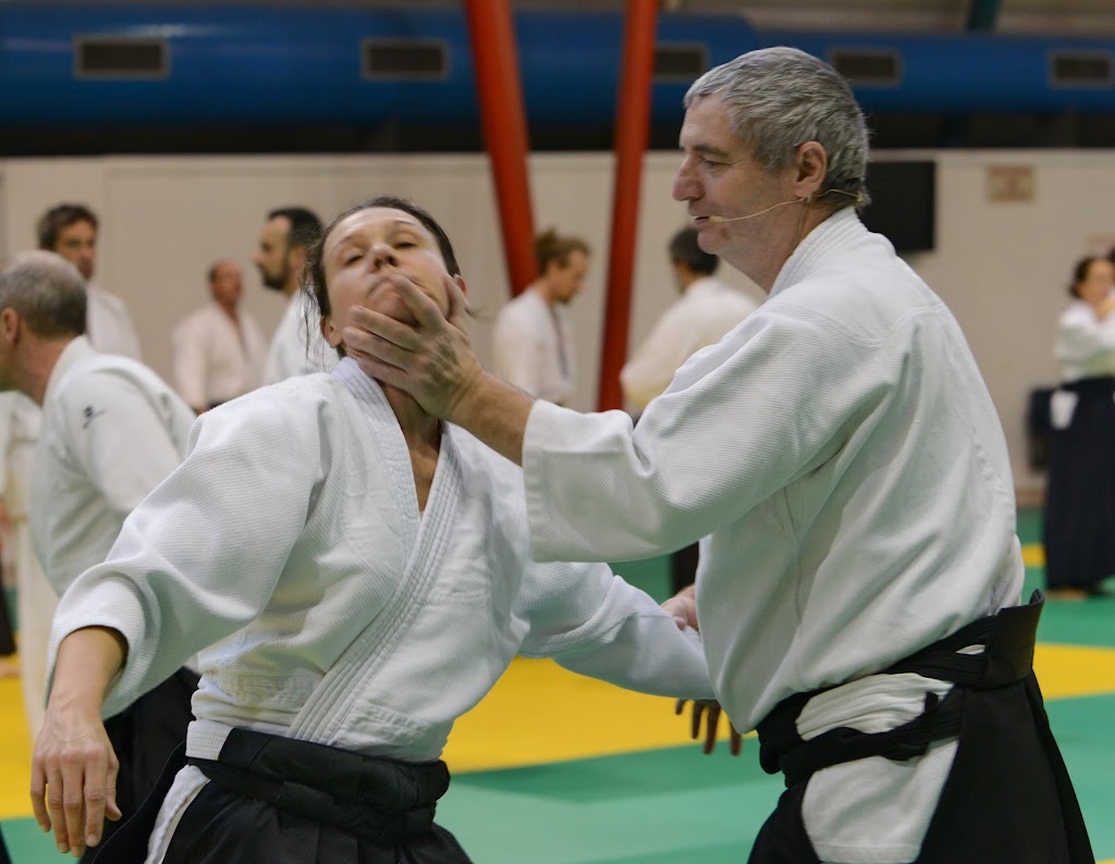 Aikido Canada - Art Martial A Montreal Et Laval | 103 Bd de la Concorde O, Laval, QC H7N 1H8, Canada | Phone: (514) 770-8842