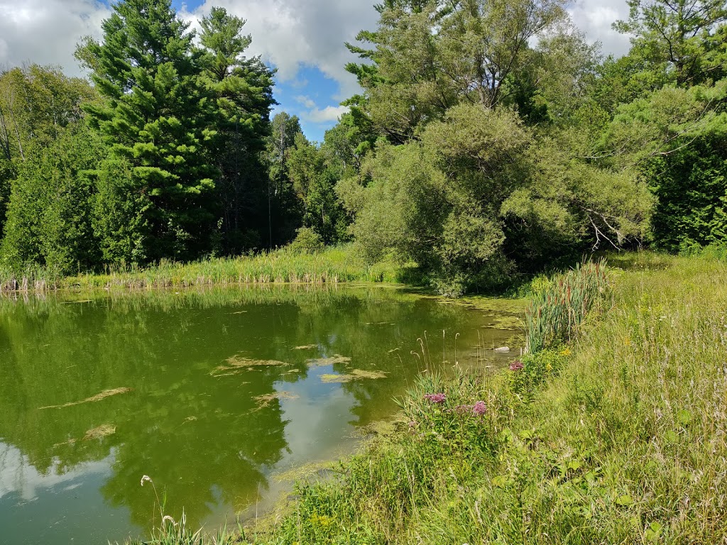 Linwood Acres Trout Farms Ltd | 8382 Gilmour Rd, Campbellcroft, ON L0A 1B0, Canada | Phone: (905) 797-2484