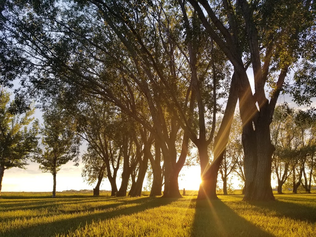 Coalhurst Miners Memorial Campground | Lethbridge County, AB T0L 0V0, Canada | Phone: (403) 381-3033