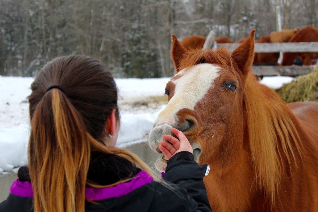 Parkside Ranch Inc | 1505 Chemin Alfred-Desrochers, Orford, QC J1X 6J4, Canada | Phone: (819) 868-0431