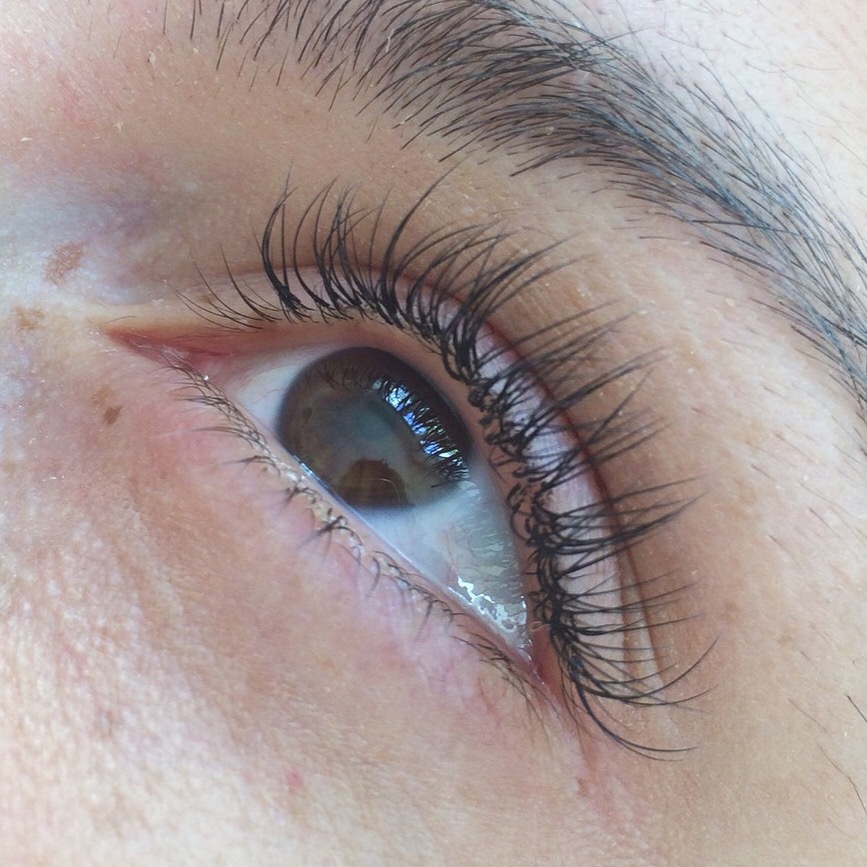 LASH MODERN | 2909 Walnut St, Bellingham, WA 98225, USA | Phone: (213) 663-3955