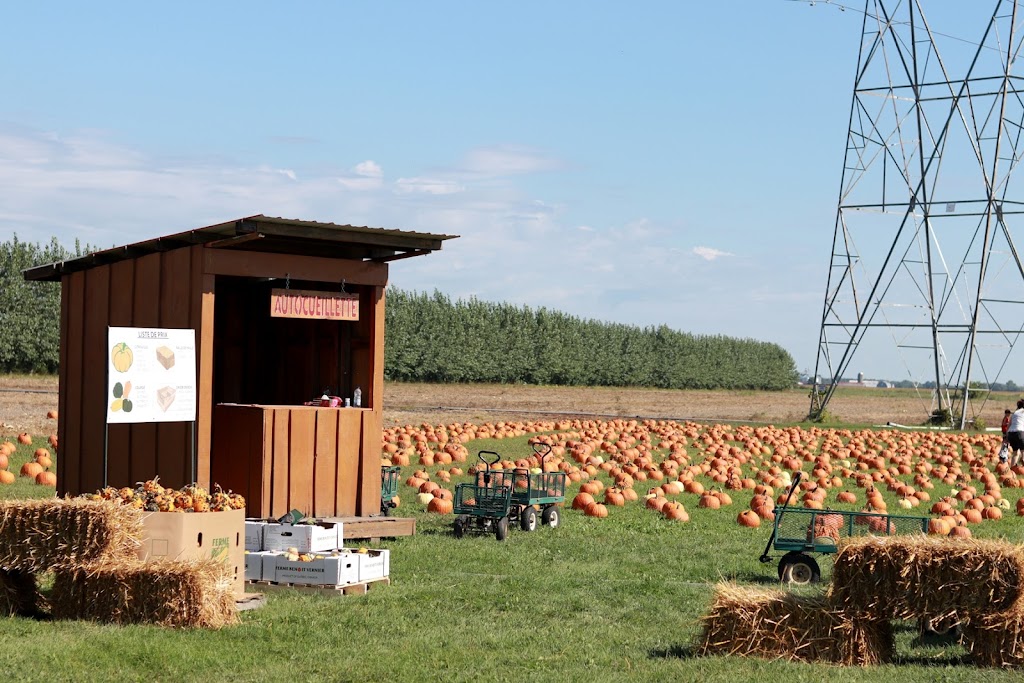 Ferme Benoit Vernier | 560 69e Avenue, Saint-Zotique, QC J0P 1Z0, Canada | Phone: (438) 700-6318