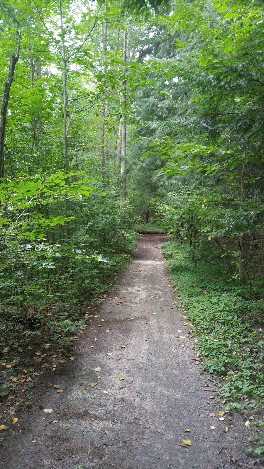 Holland Landing Prairie Provincial Nature Reserve | 14 Maple St, Holland Landing, ON L9N 1N8, Canada | Phone: (905) 722-8061