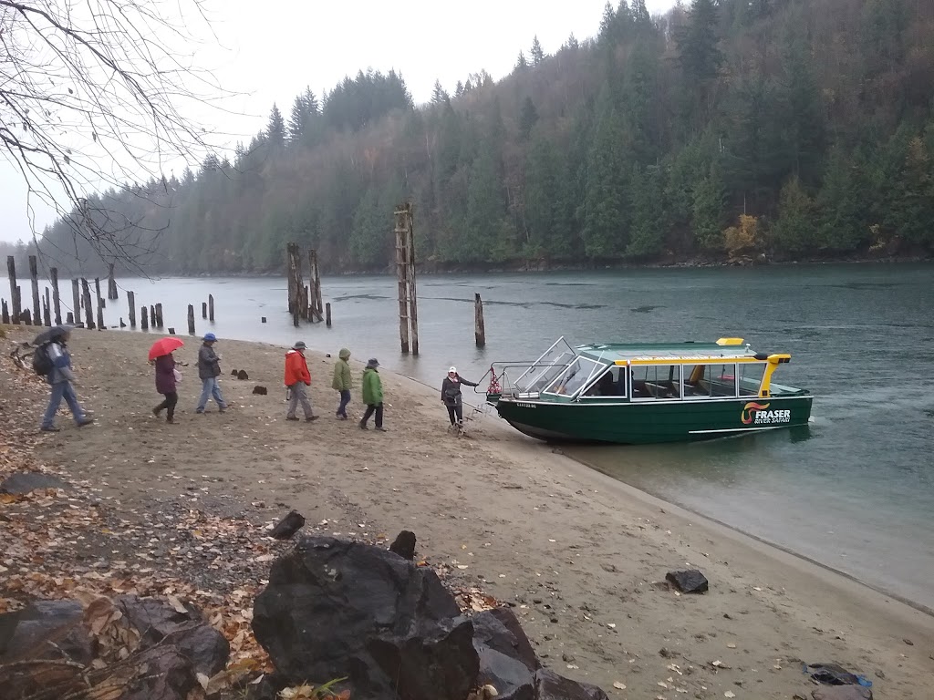 Fraser River Safari Eagle Tours November & December launch area | Kilby Rd, Kent, BC V0M 1L0, Canada | Phone: (866) 348-6877