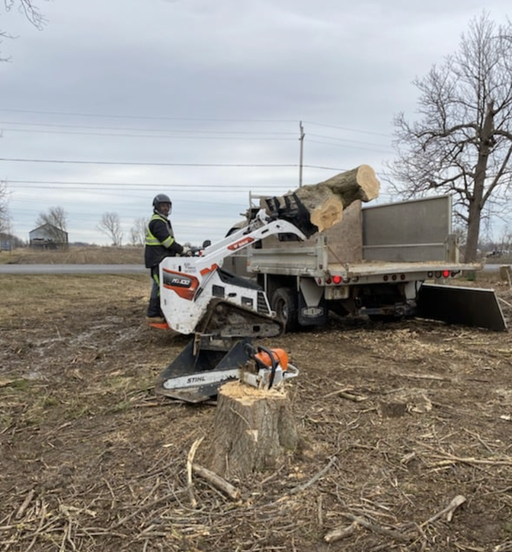 Stump Up Tree Service | 81 Hopkins Ct, Hamilton, ON L9H 5M7, Canada | Phone: (905) 379-7245