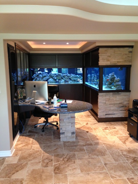 LT Aquariums | 850 Tapscott Rd Unit #8, Scarborough, ON M1X 1N4, Canada | Phone: (647) 829-8245