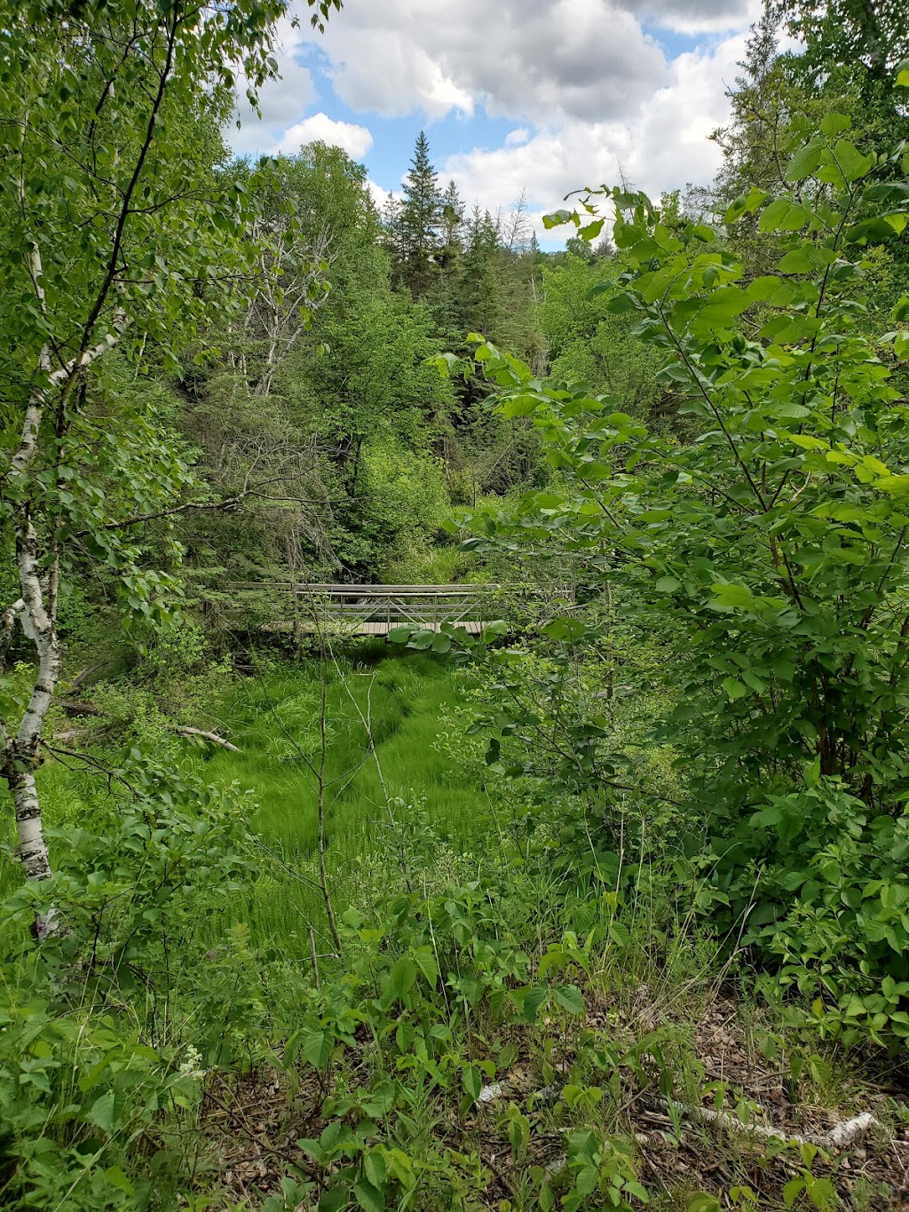 Steels Ferry Overlook and Spring Ridge Self-guiding Trail | South Cypress, MB R0K 0P0, Canada | Phone: (204) 827-8850