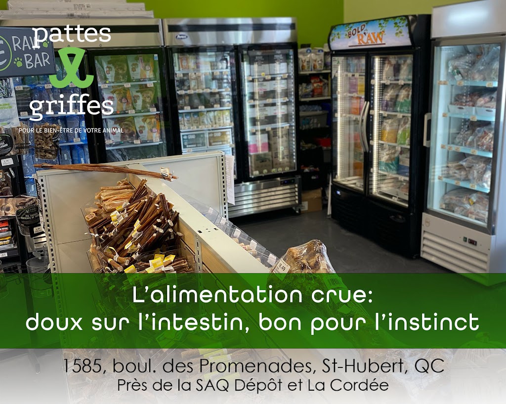 Pattes et Griffes St-Hubert | 1585 Bd des Promenades, Saint-Hubert, QC J3Y 5K2, Canada | Phone: (450) 812-8812