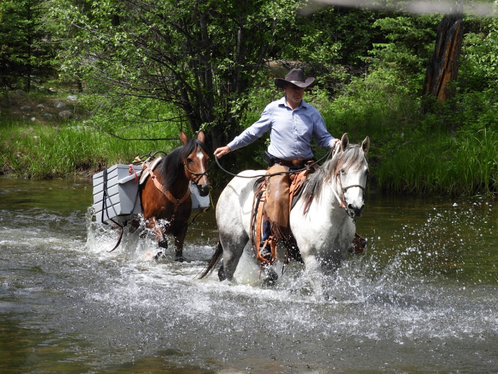 Wolf Valley Guest Ranch | 2220 Eagan, Bonaparte FSR, Bridge Lake, BC V0K 1E0, Canada | Phone: (778) 767-5214