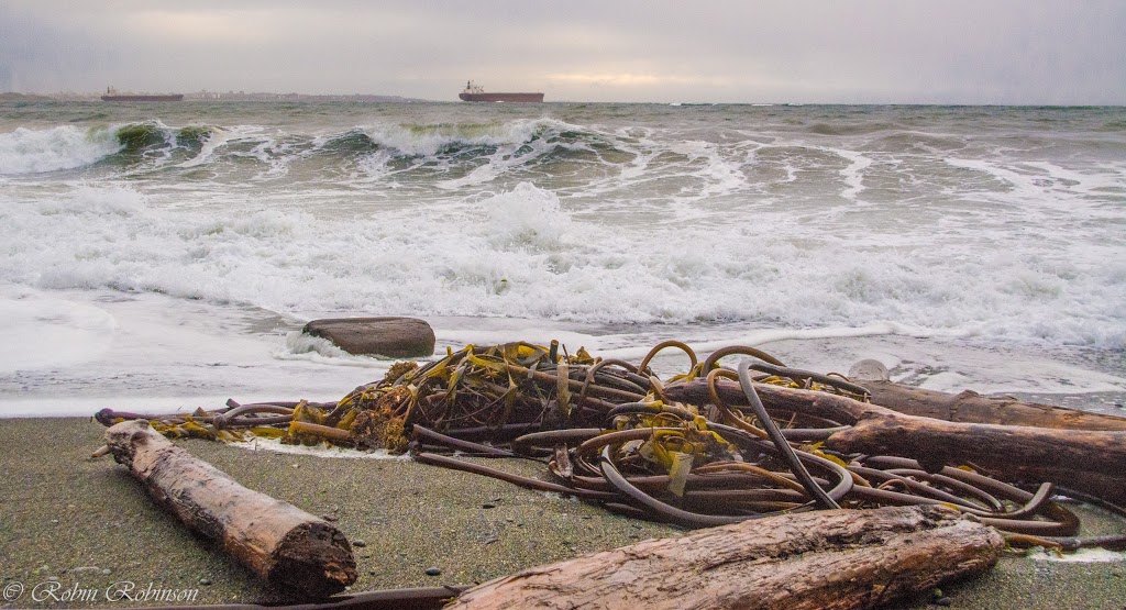 Albert Head Lagoon Regional Park | Delgada Rd, Victoria, BC V9C 3W2, Canada | Phone: (250) 360-3000