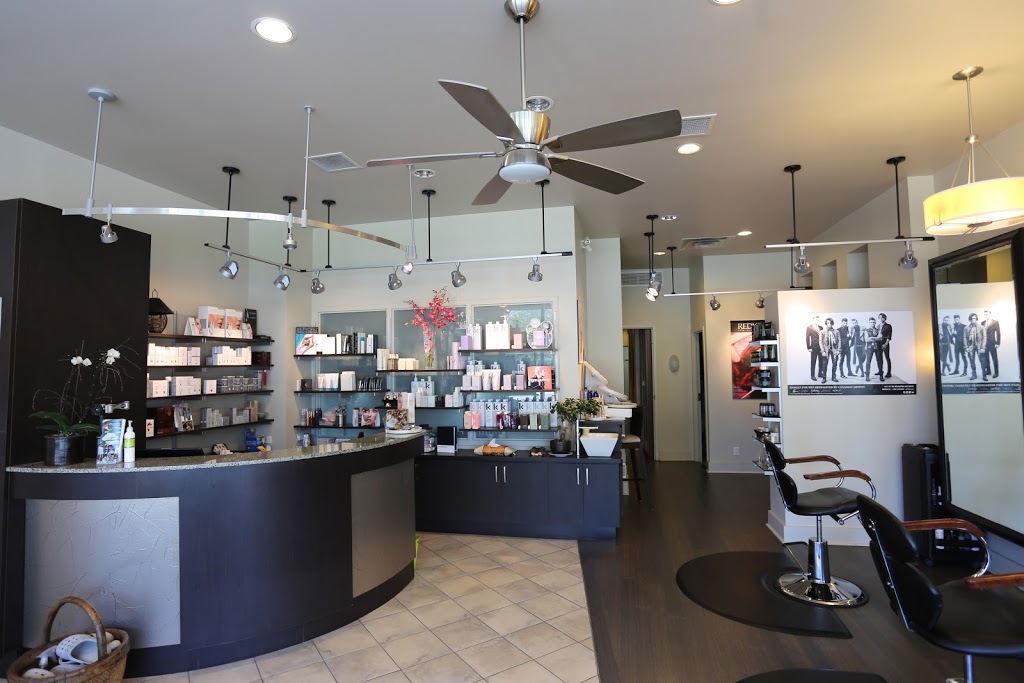 Celadon Salon & Spa | 373 St Laurent Blvd, Ottawa, ON K1K 2Z7, Canada | Phone: (613) 746-3500