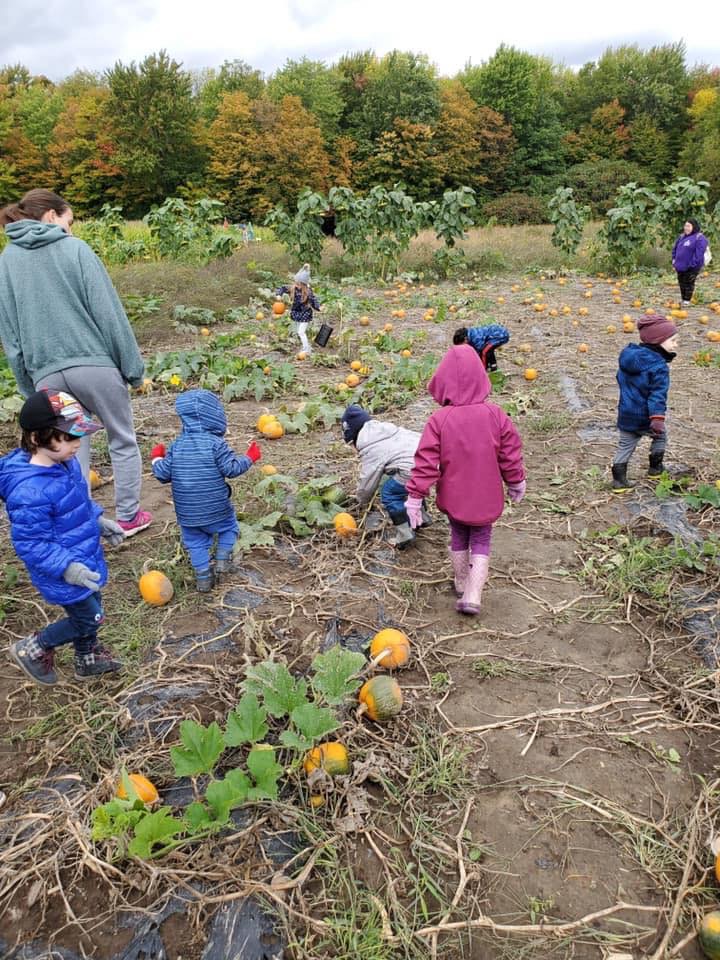 Nursery Les Petits Trésors | 5301 Rue Wellington, Verdun, QC H4H 1N3, Canada | Phone: (514) 762-1555