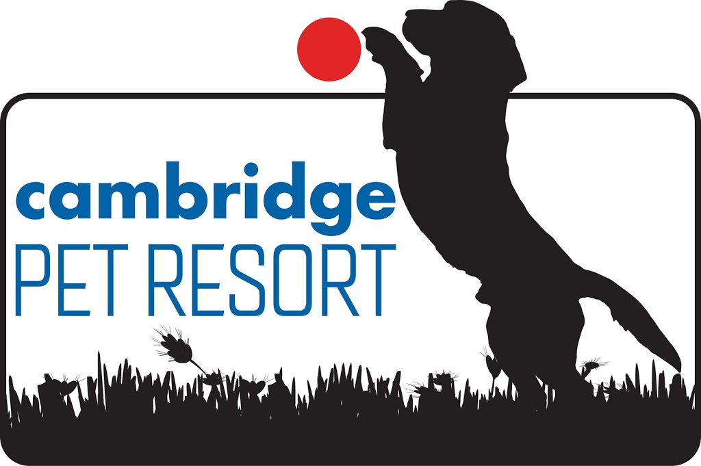 Cambridge Pet Resort | 1223 Cedar Creek Rd, Cambridge, ON N1R 5S5, Canada | Phone: (519) 623-3347