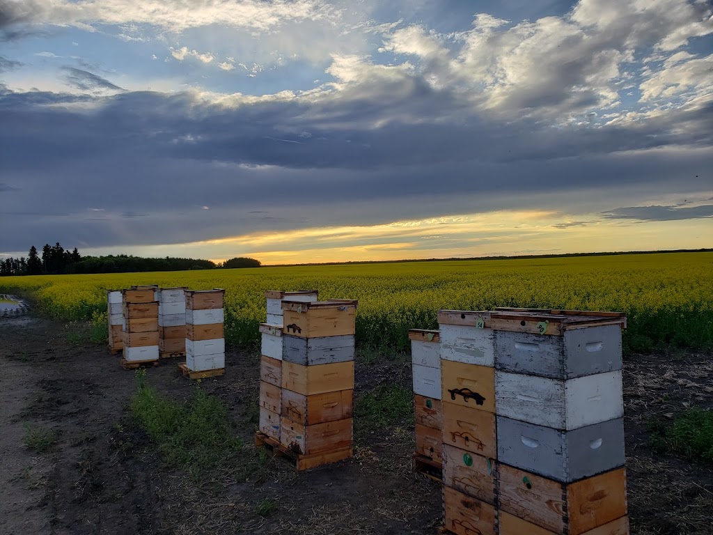 Beaver Creek Apiaries ltd. | Unnamed Road, Beaver County, AB T0B 4A0, Canada | Phone: (780) 722-4232