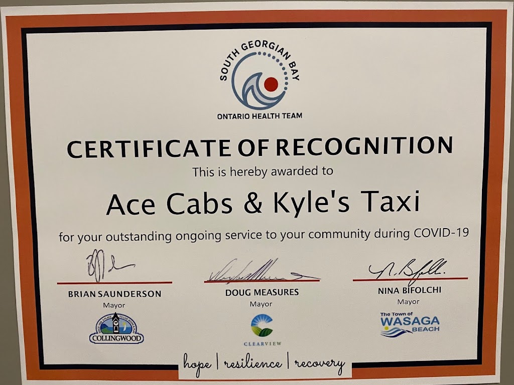 Ace Cabs | 245 Raglan St Unit 100, Collingwood, ON L9Y 3Z1, Canada | Phone: (705) 445-3300