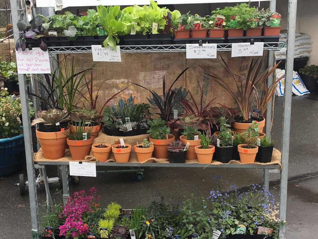 Michell Valley Plants | 2451 Island View Rd, Saanichton, BC V8M 1W3, Canada | Phone: (250) 886-0494