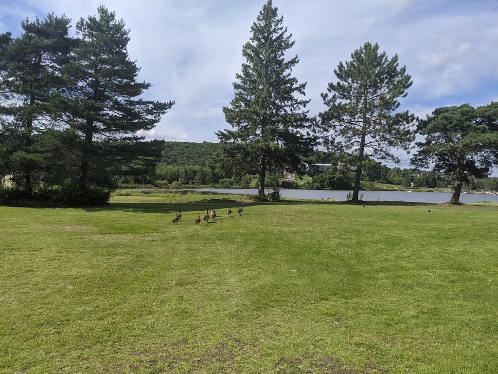 Deerhurst Lakeside Golf Course | 1235 Deerhurst Dr, Huntsville, ON P1H 1A9, Canada | Phone: (800) 461-4393