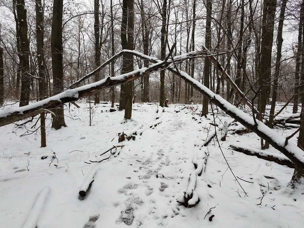 Clarence Nature Center | Thompson Rd, Clarence, NY 14031, USA | Phone: (716) 984-9046